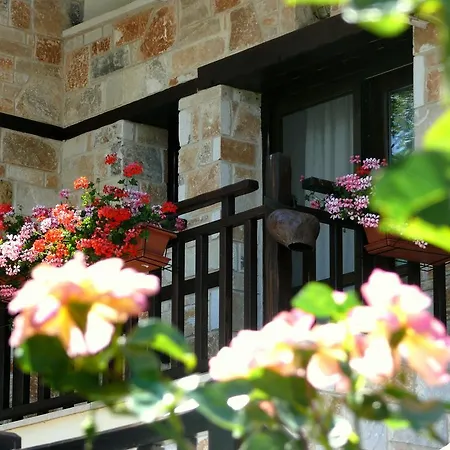 Petrini Gonia 3*