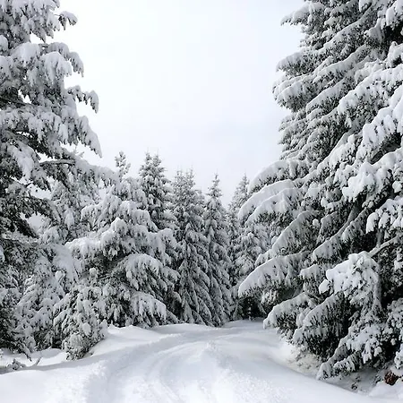 Aparthotel Petrini Gonia