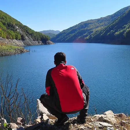 Petrini Gonia Livadherón