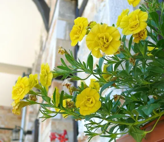 Lejlighedshotel Petrini Gonia 3*