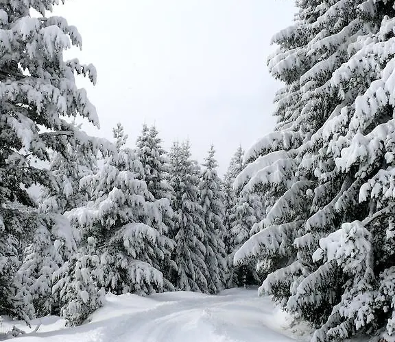 Lejlighedshotel Petrini Gonia